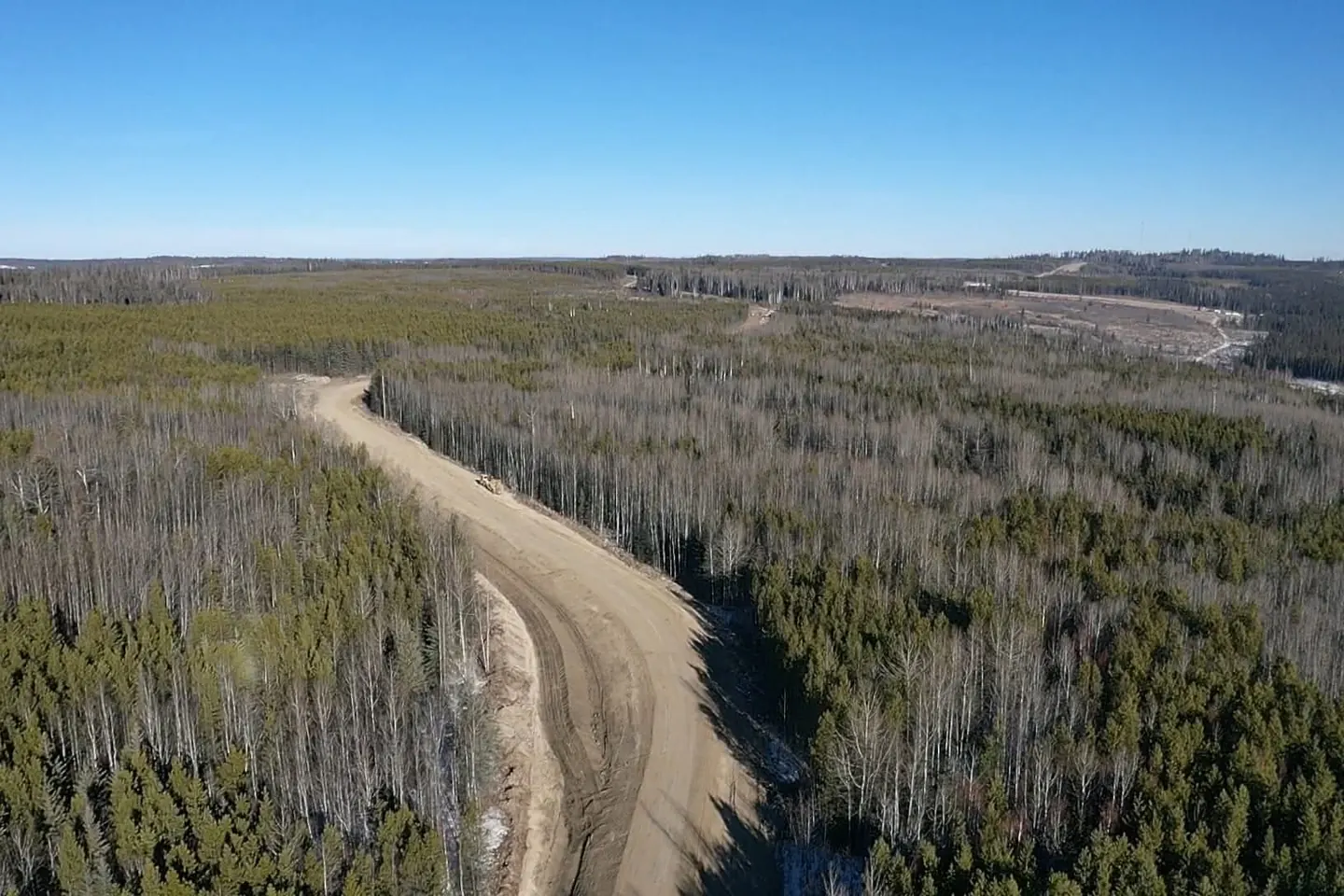 Aerial view of a new gravel access road cut through mixed forest