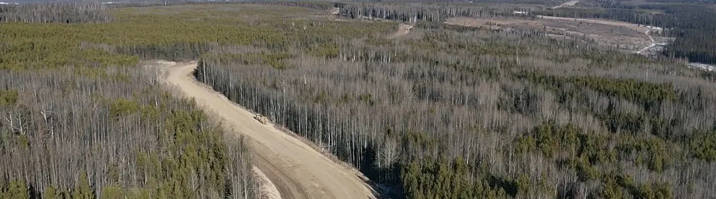 Aerial view of a new gravel access road cut through mixed forest with a dozer working the grade