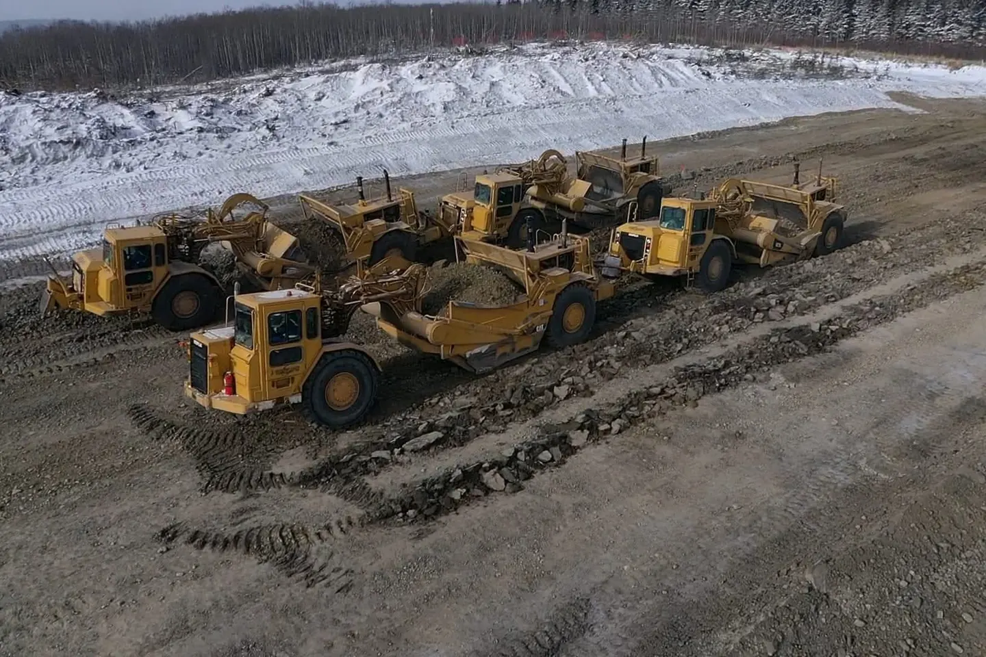 Six Cat motor scrapers parked in a line on a winter pad