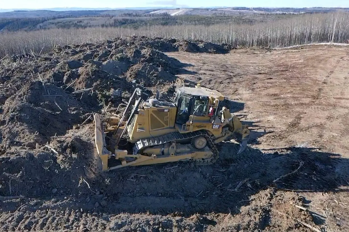 Cat D8T dozer piling brush and debris along the edge of a cleared block